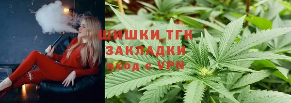 сатива Алзамай