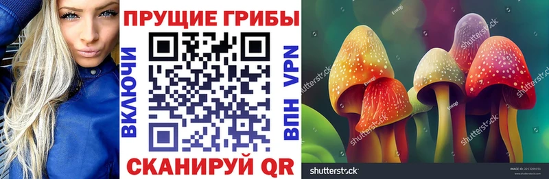 Галлюциногенные грибы Psilocybine cubensis Тайшет